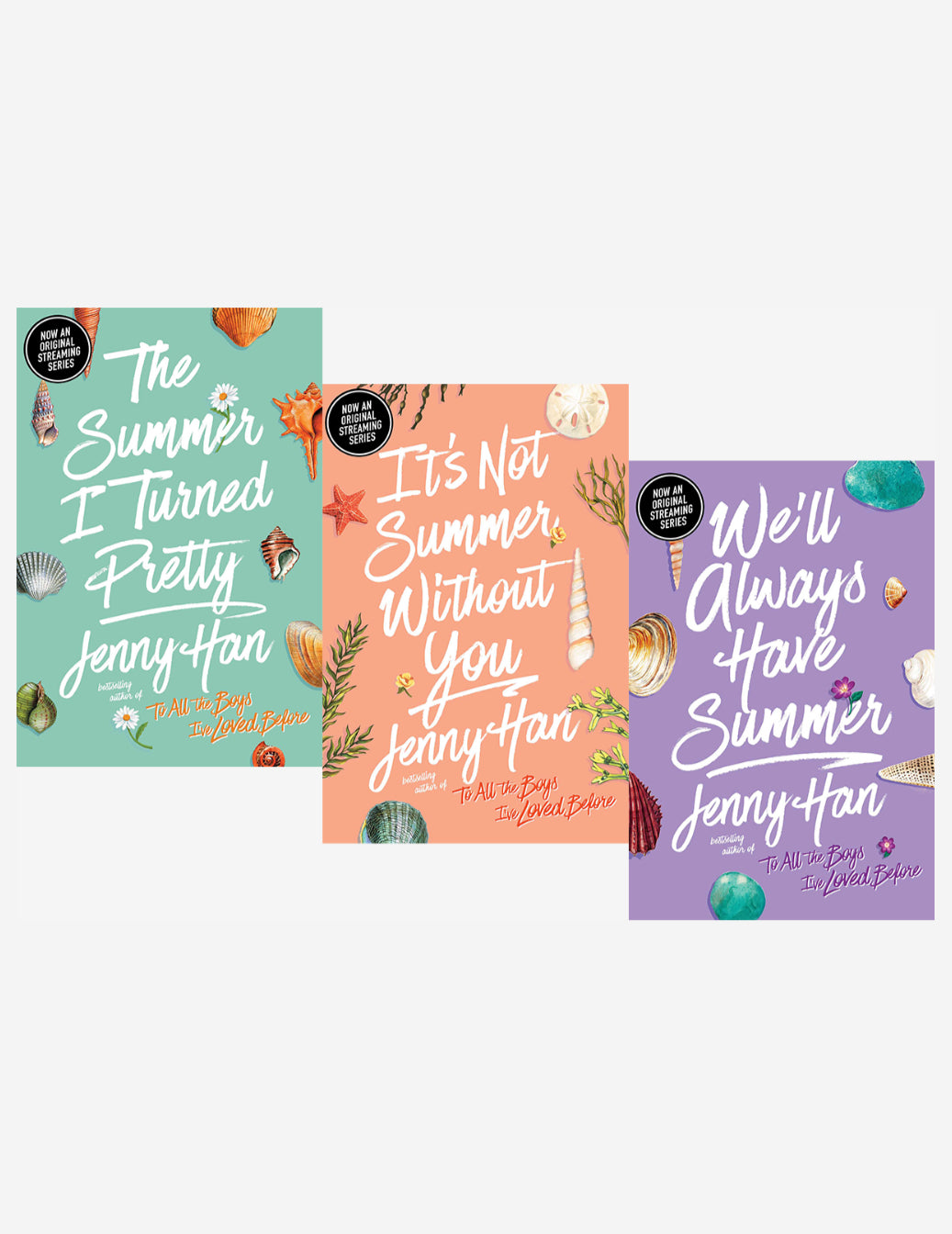 The summer i turned pretty set